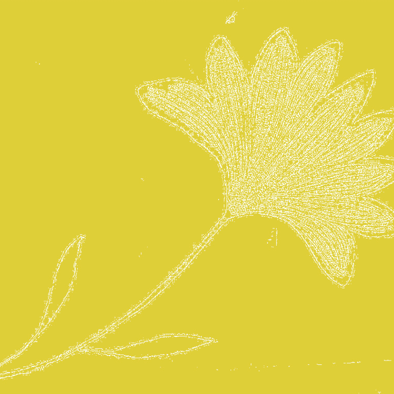 blog cover